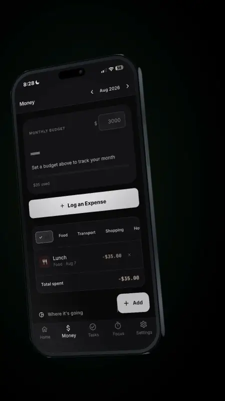 The money screen with a monthly budget and a logged expense.